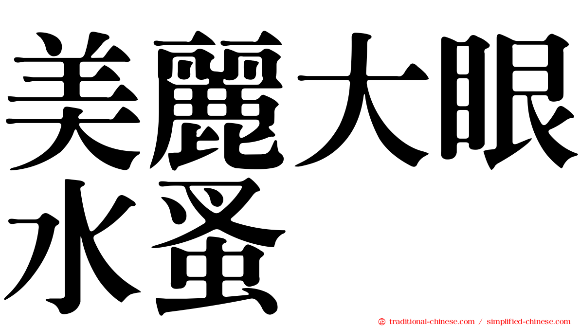 美麗大眼水蚤