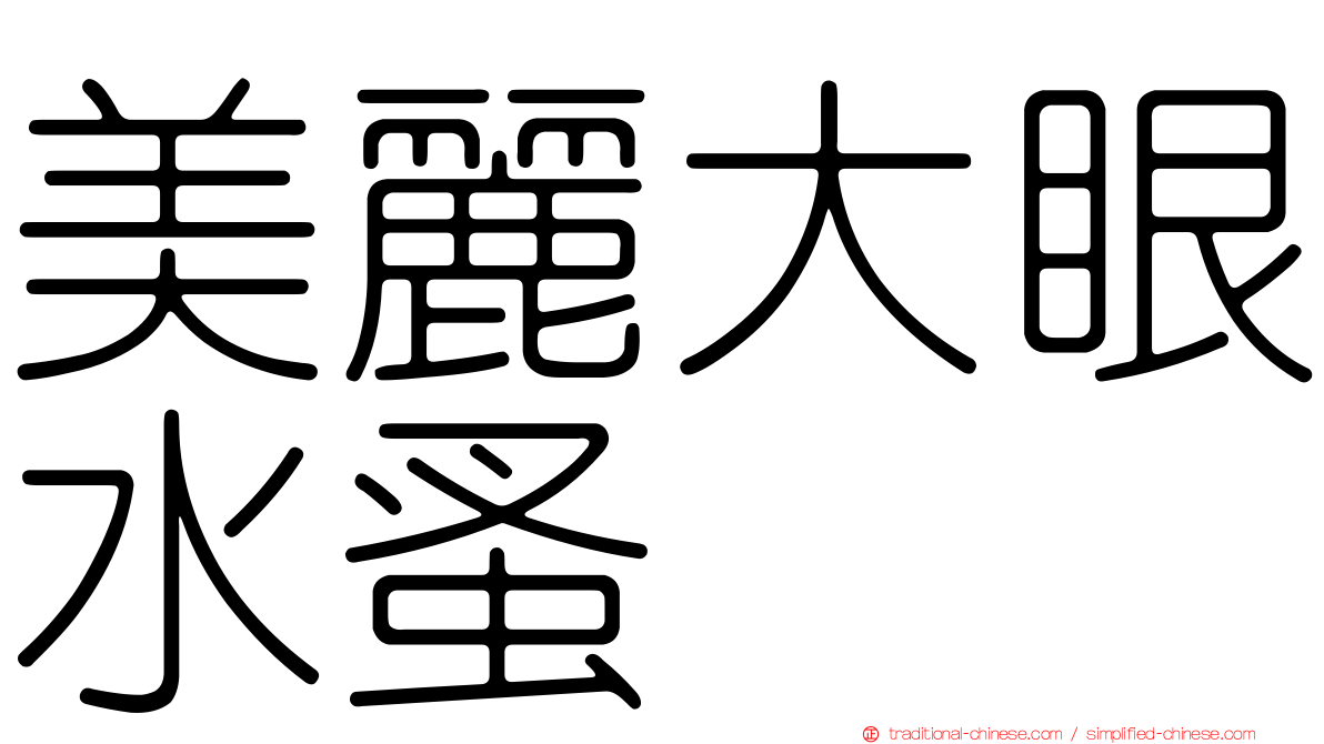 美麗大眼水蚤