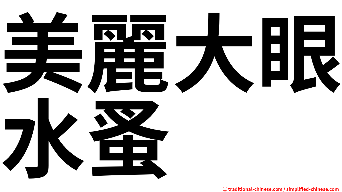 美麗大眼水蚤