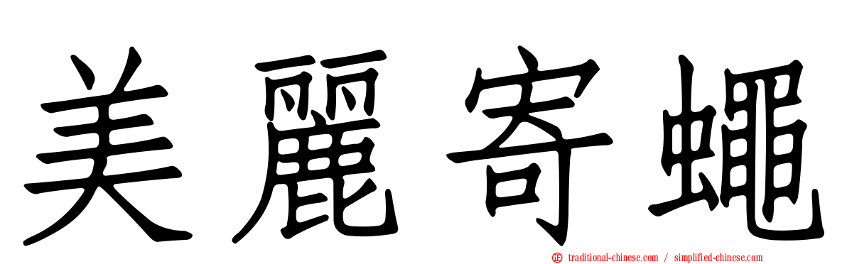 美麗寄蠅