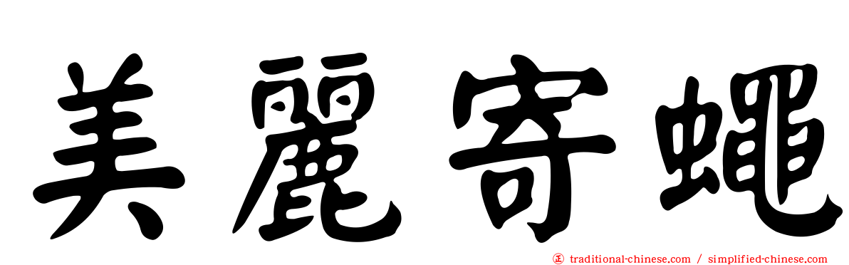 美麗寄蠅