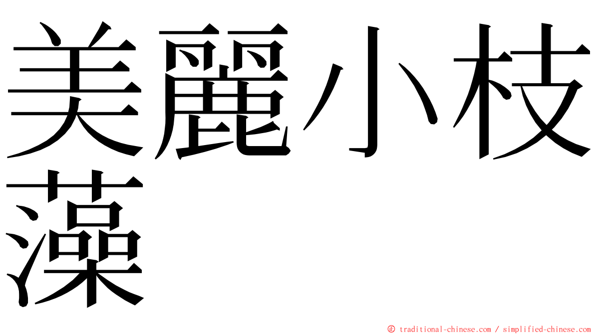 美麗小枝藻 ming font