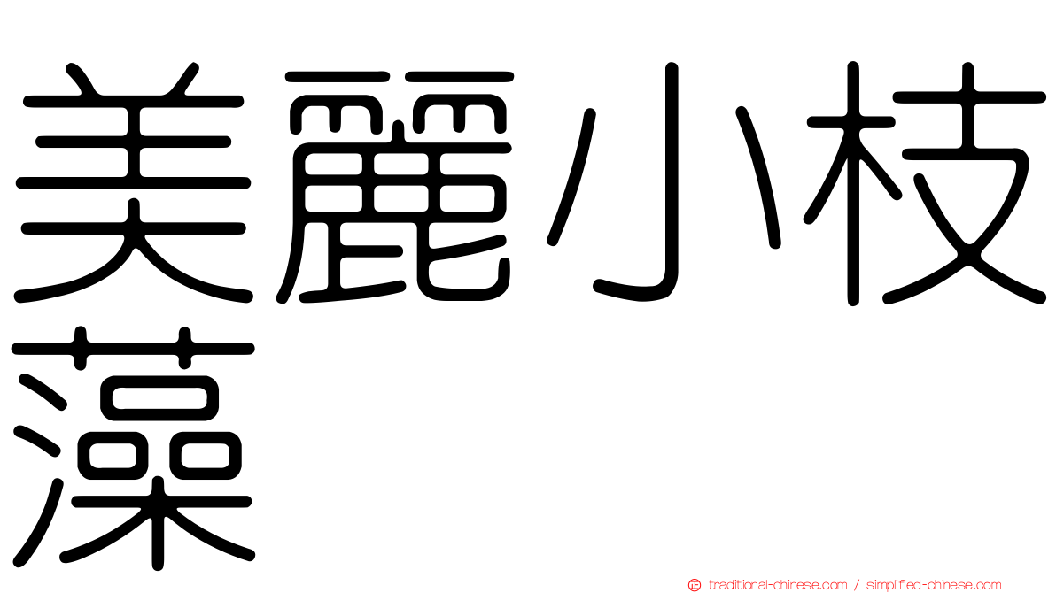 美麗小枝藻