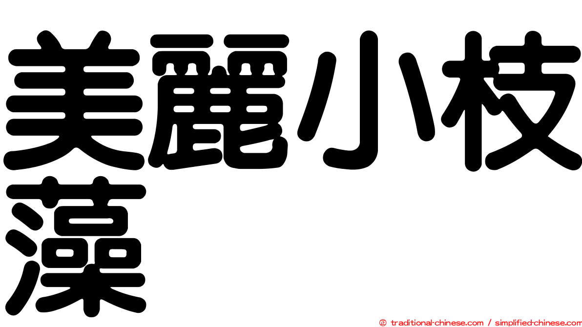 美麗小枝藻