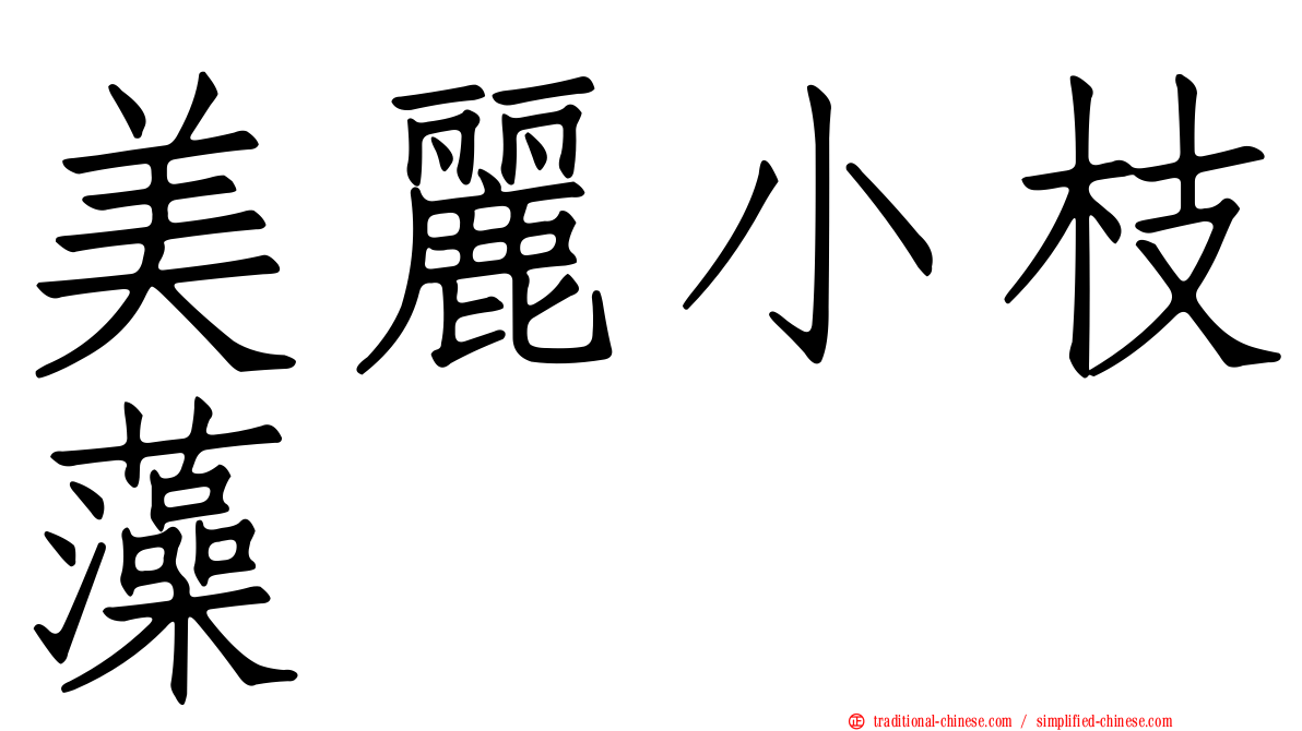 美麗小枝藻