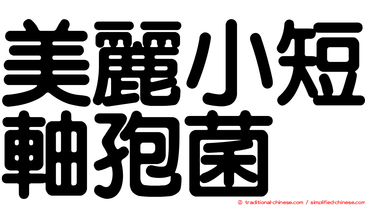 美麗小短軸孢菌