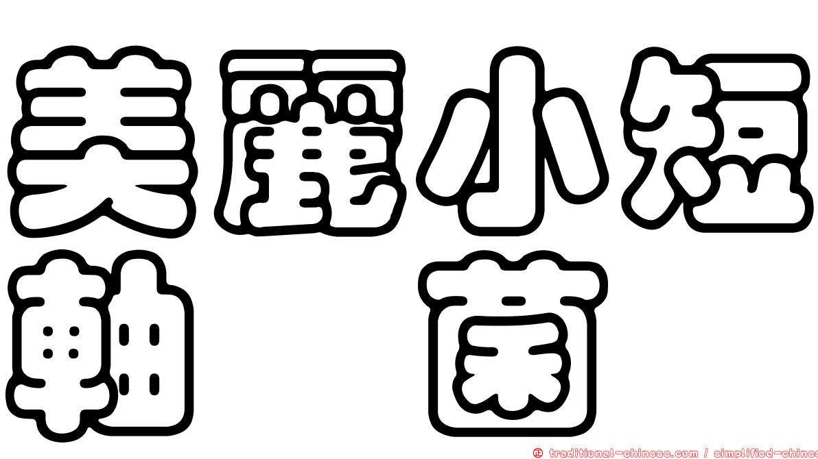 美麗小短軸孢菌