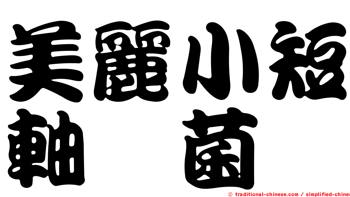 美麗小短軸孢菌
