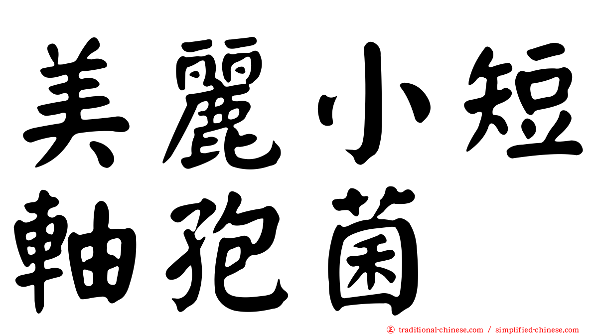 美麗小短軸孢菌