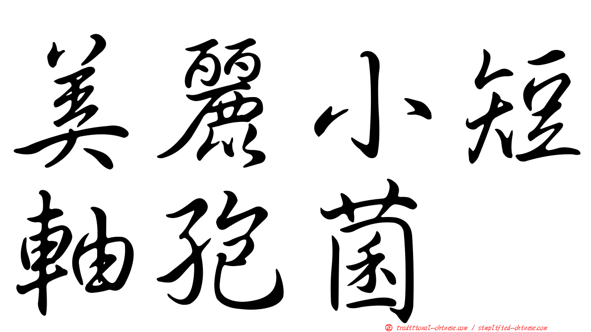 美麗小短軸孢菌