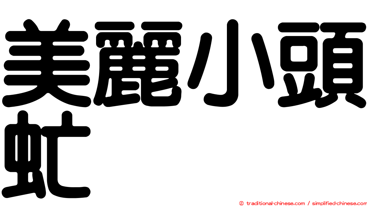 美麗小頭虻