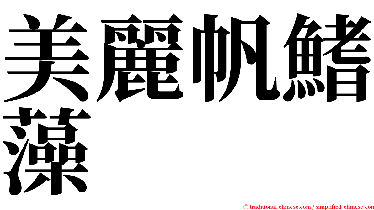 美麗帆鰭藻 serif font