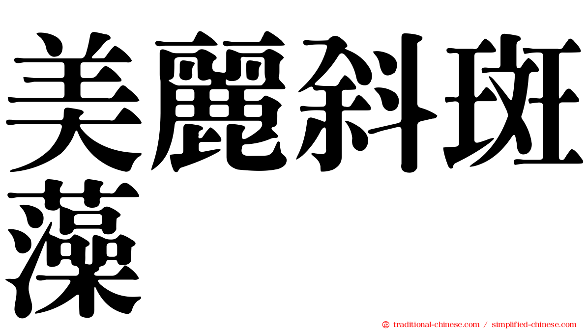 美麗斜斑藻