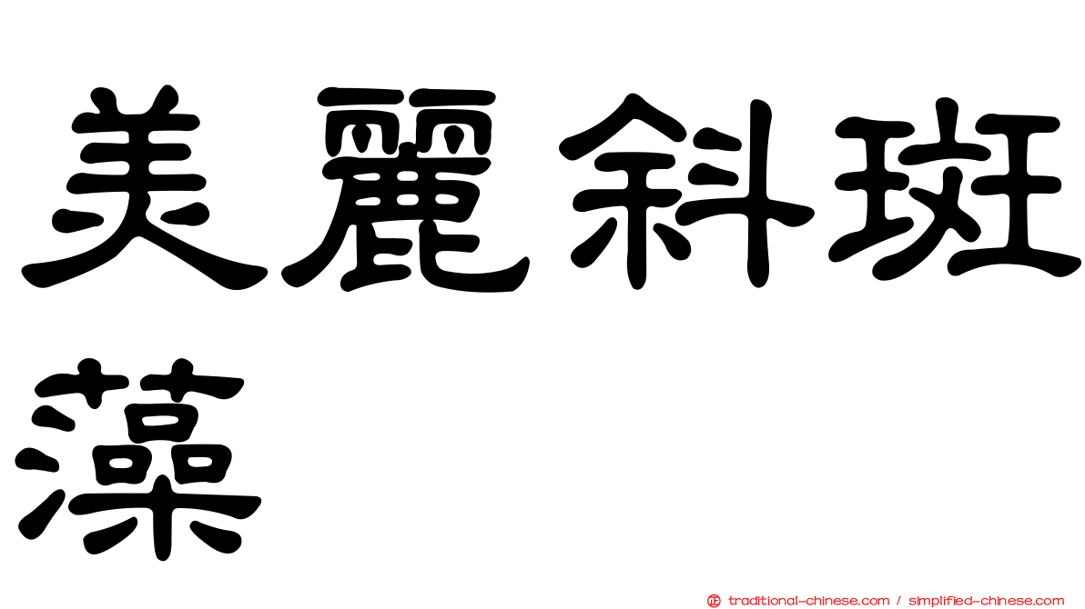 美麗斜斑藻