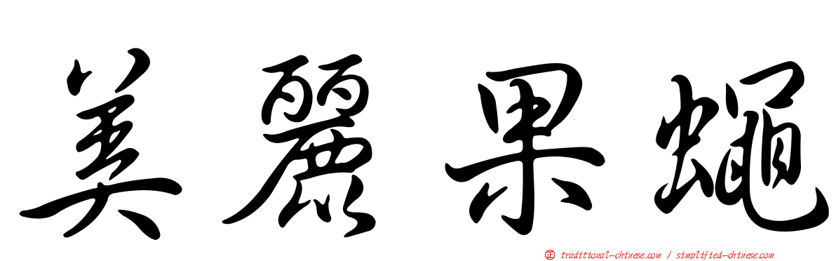 美麗果蠅