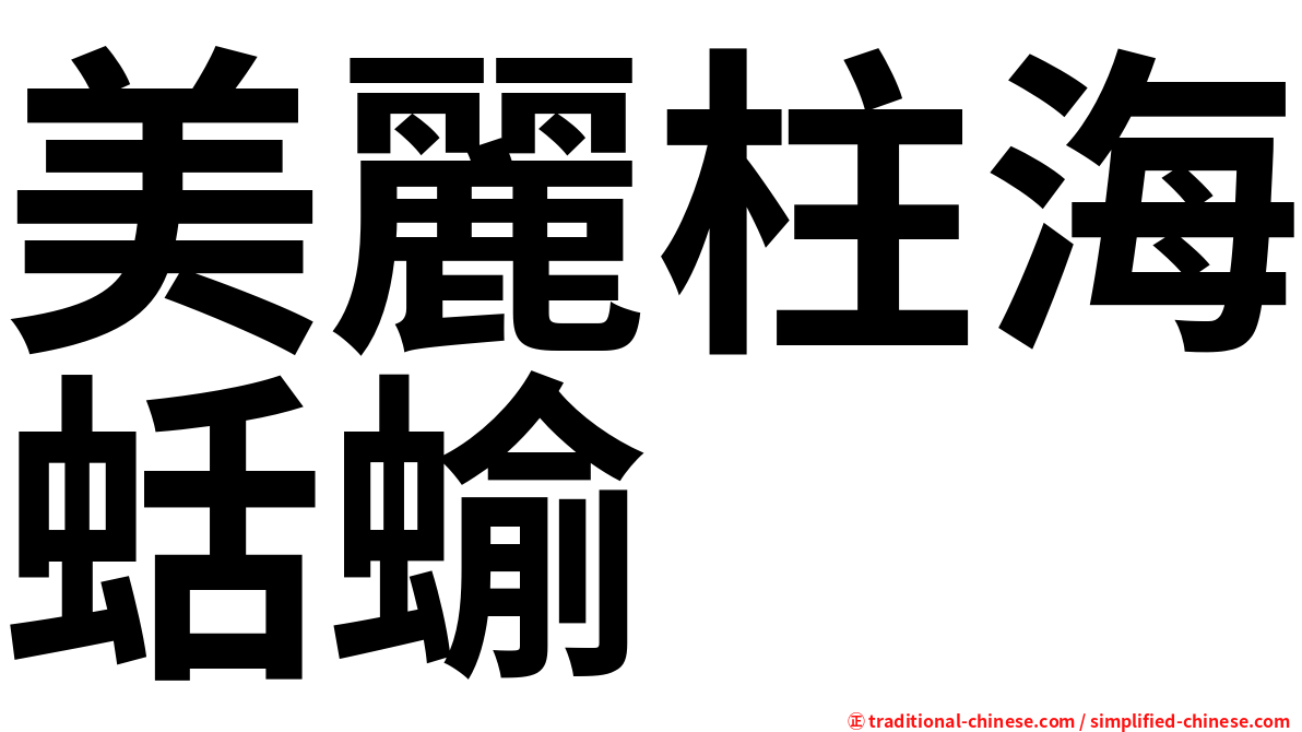 美麗柱海蛞蝓