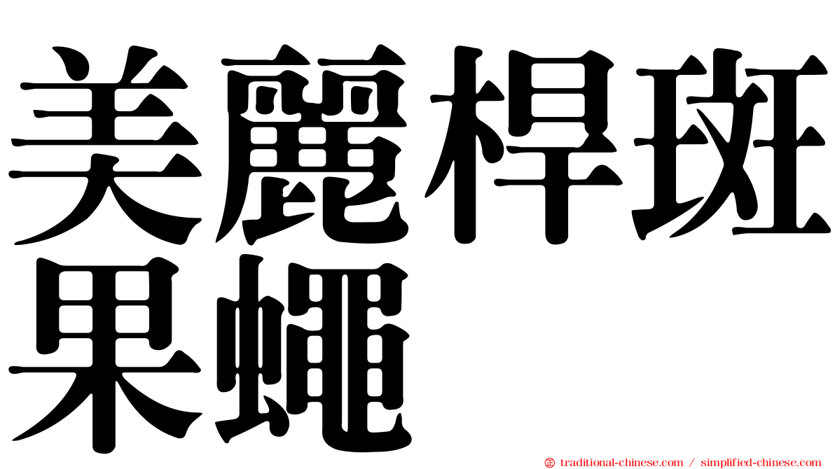 美麗桿斑果蠅