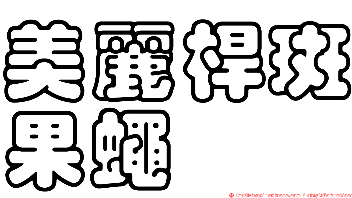 美麗桿斑果蠅
