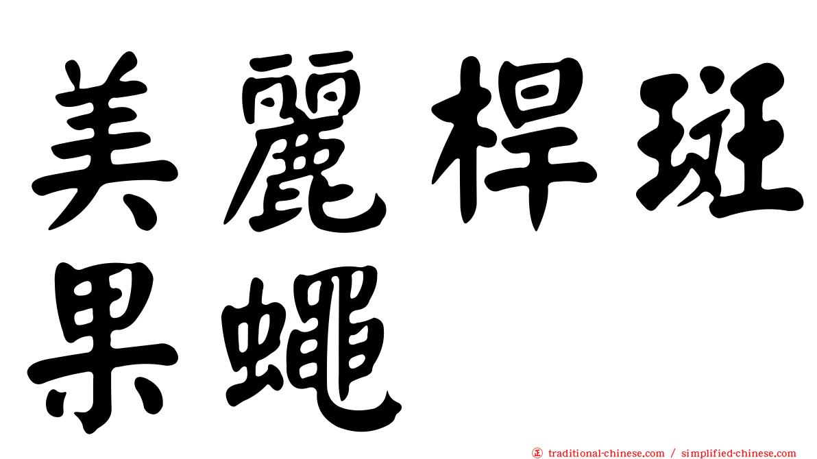 美麗桿斑果蠅