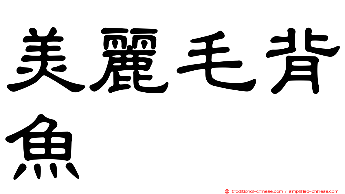 美麗毛背魚