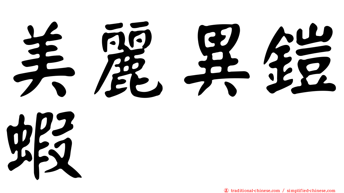 美麗異鎧蝦