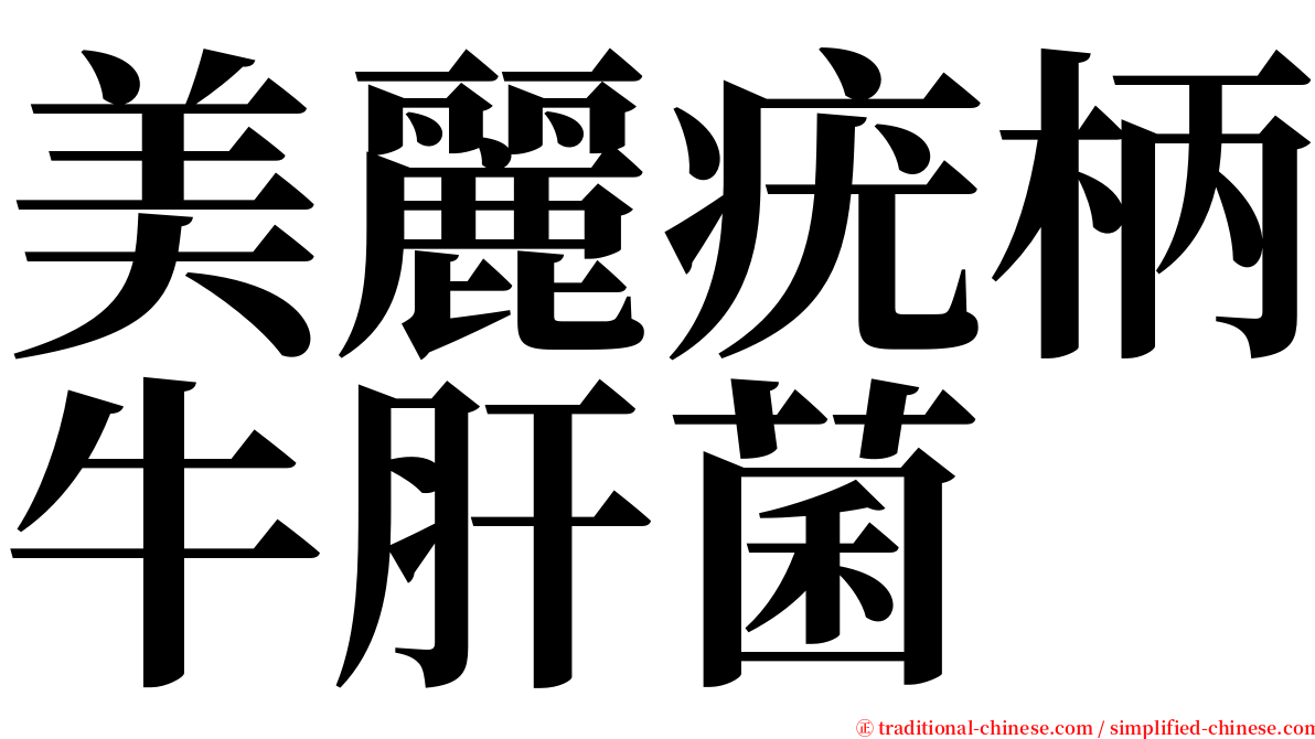 美麗疣柄牛肝菌 serif font