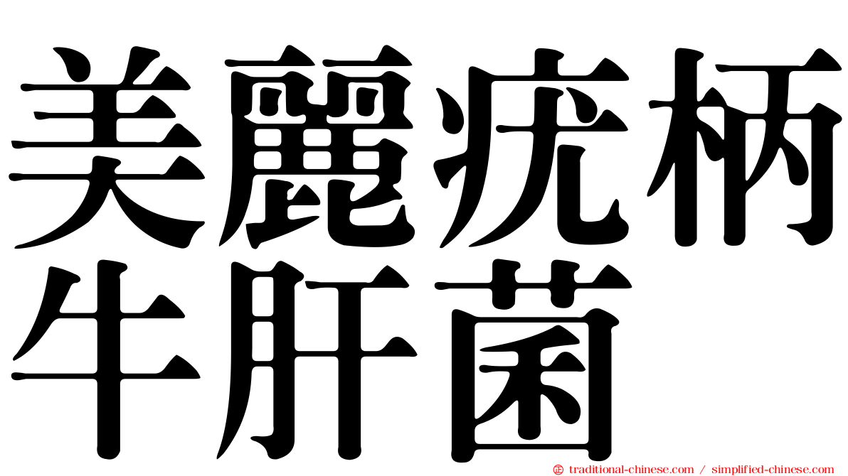 美麗疣柄牛肝菌