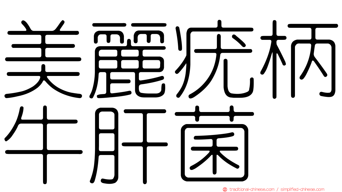 美麗疣柄牛肝菌