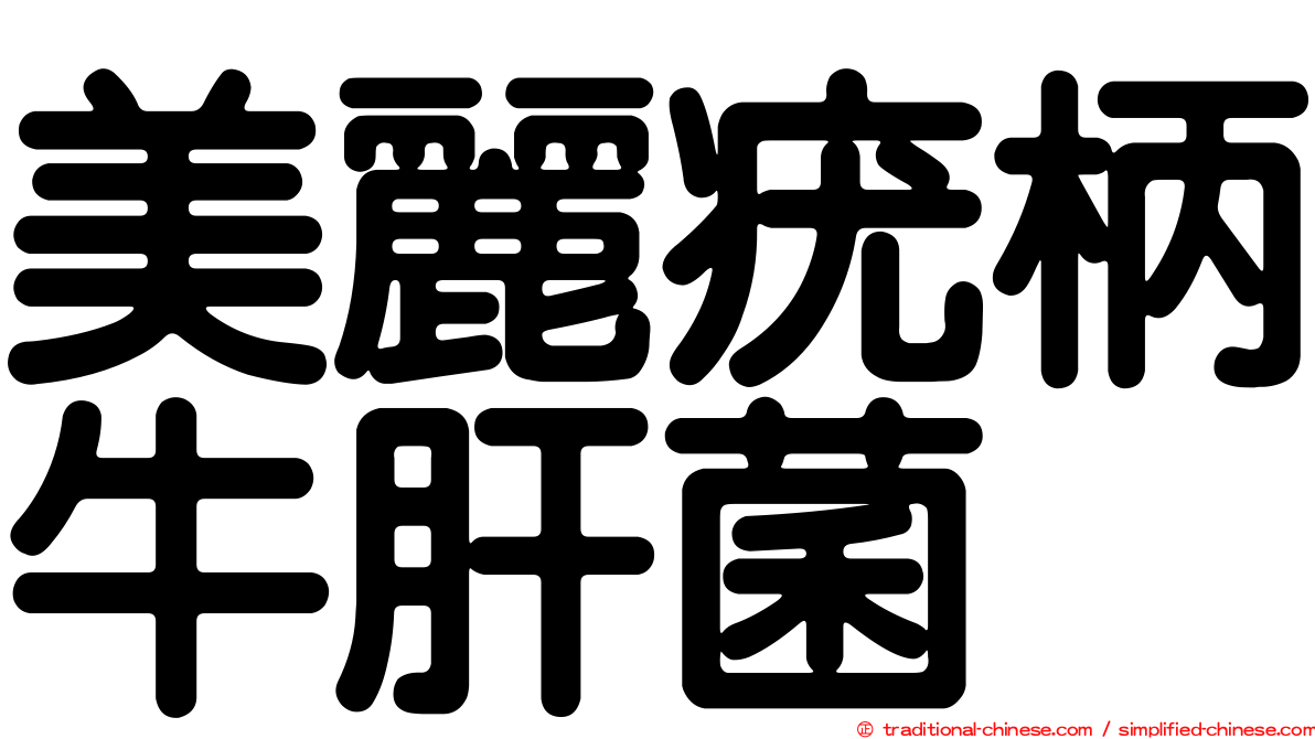 美麗疣柄牛肝菌