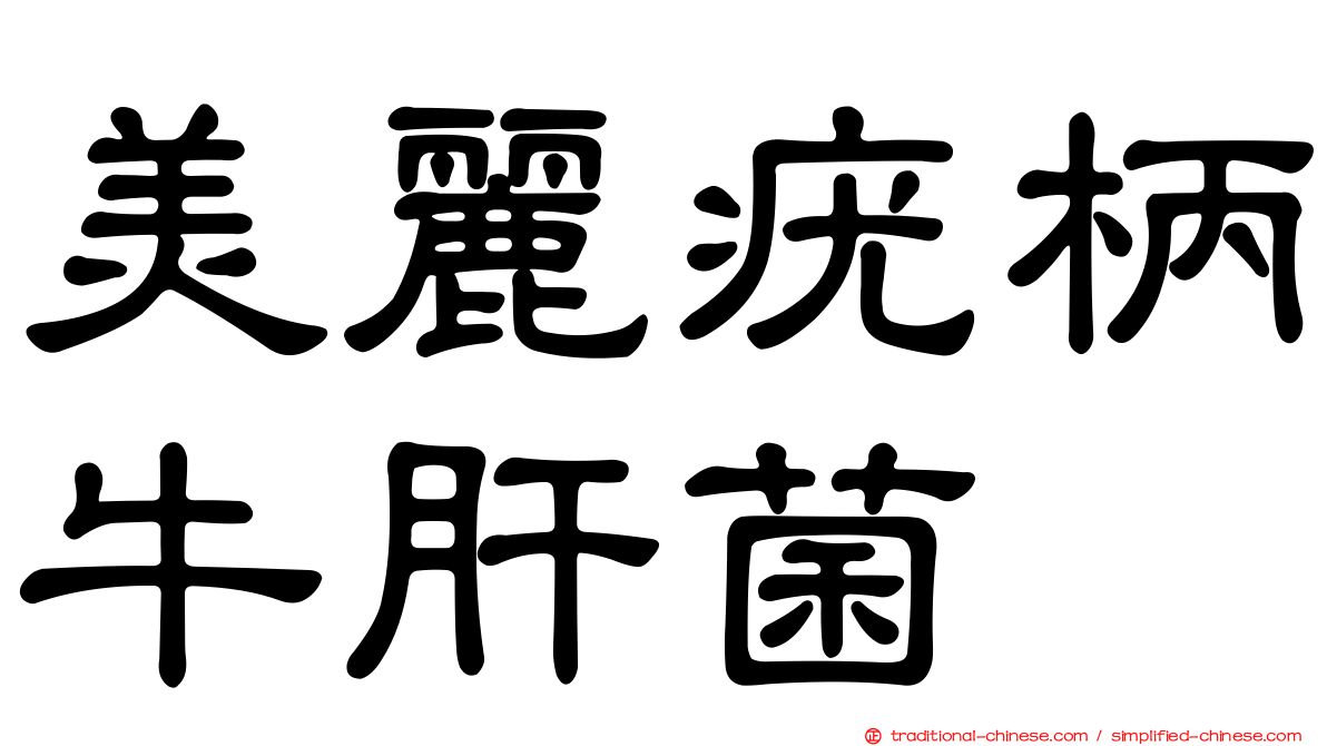 美麗疣柄牛肝菌