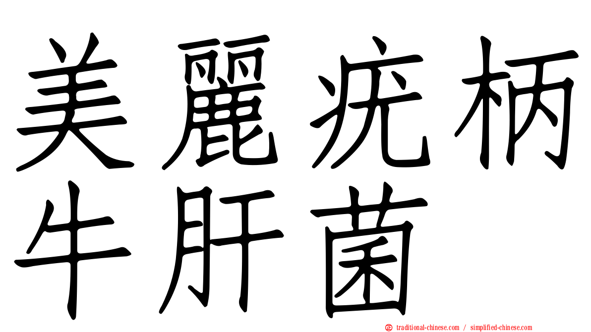 美麗疣柄牛肝菌