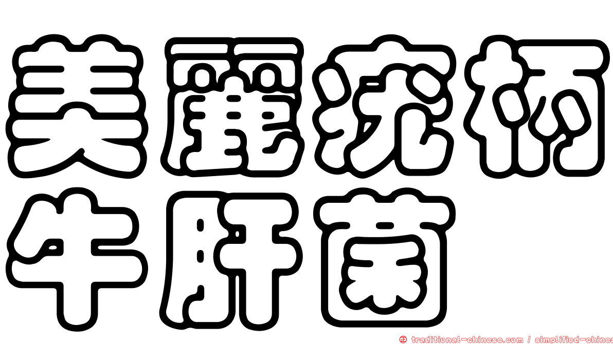 美麗疣柄牛肝菌