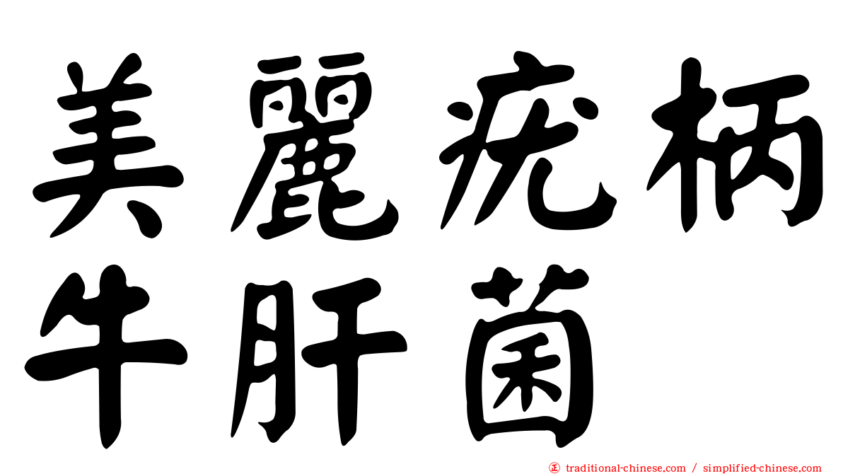 美麗疣柄牛肝菌