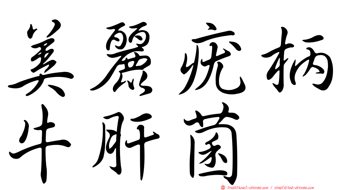 美麗疣柄牛肝菌