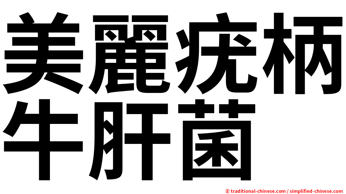 美麗疣柄牛肝菌