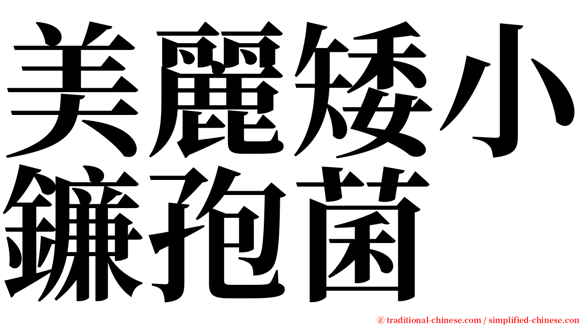 美麗矮小鐮孢菌 serif font