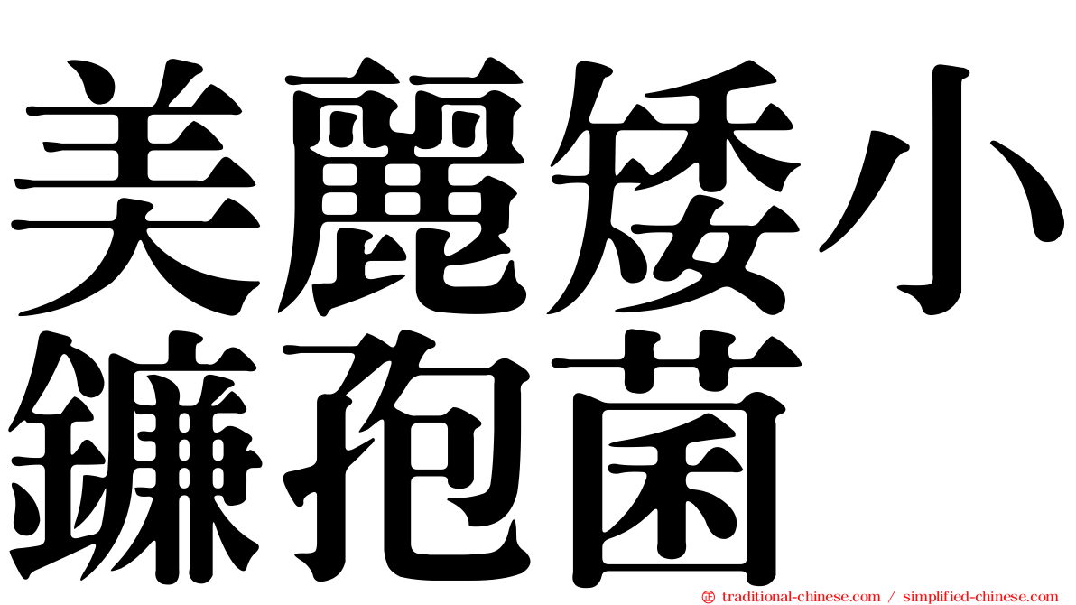美麗矮小鐮孢菌