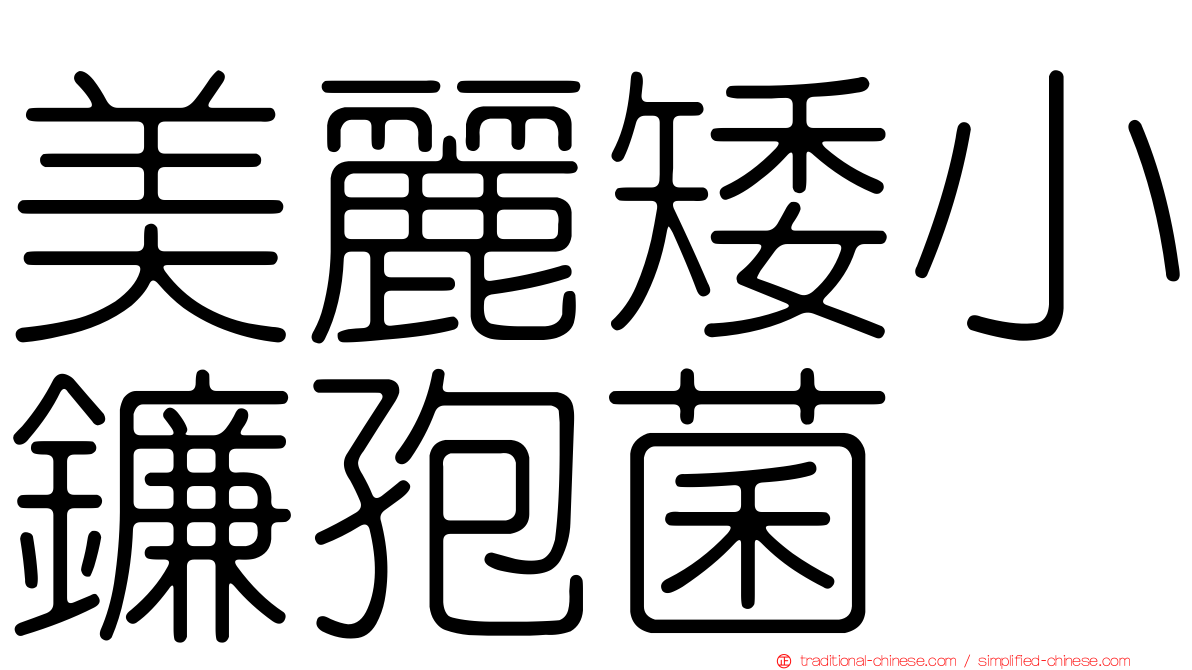 美麗矮小鐮孢菌