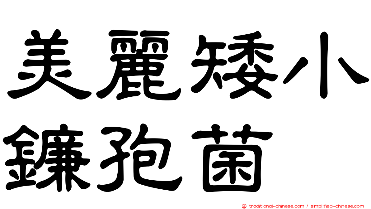 美麗矮小鐮孢菌