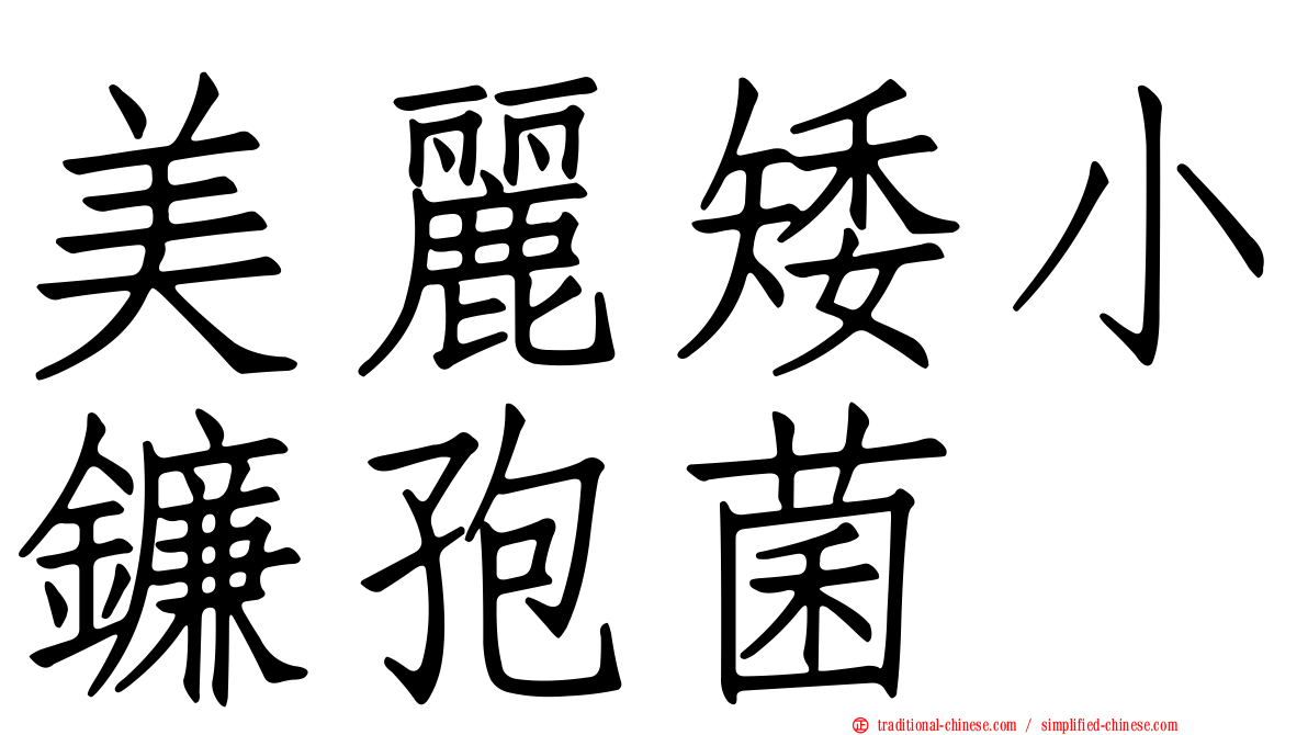 美麗矮小鐮孢菌