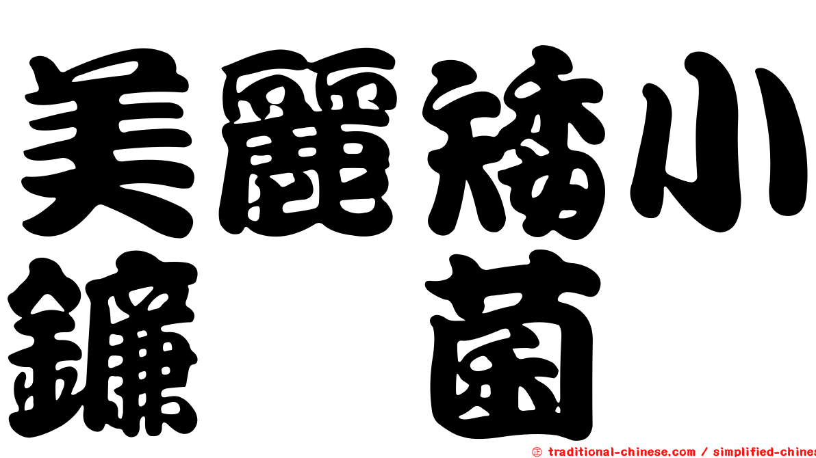 美麗矮小鐮孢菌