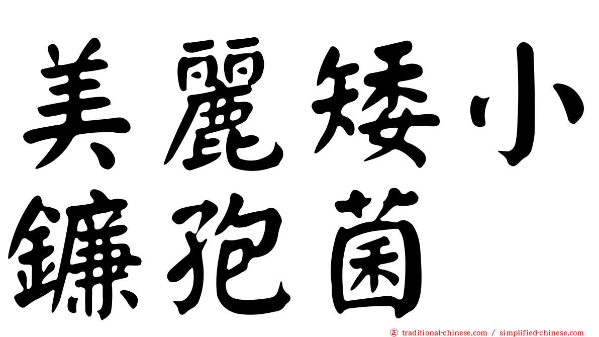 美麗矮小鐮孢菌