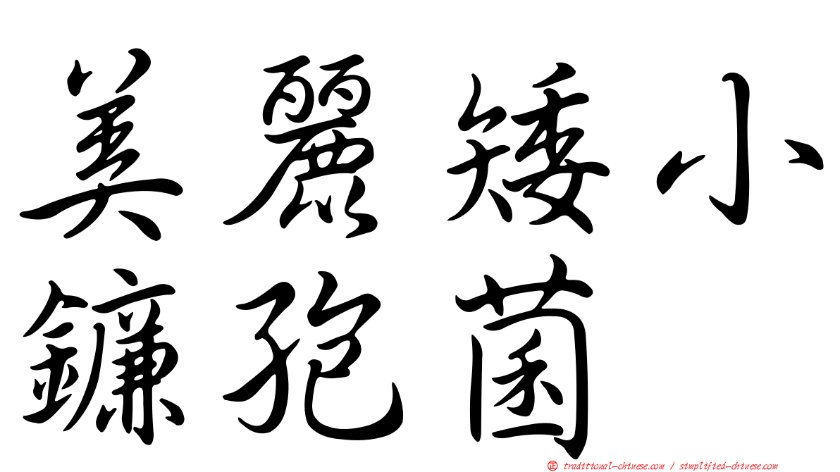 美麗矮小鐮孢菌