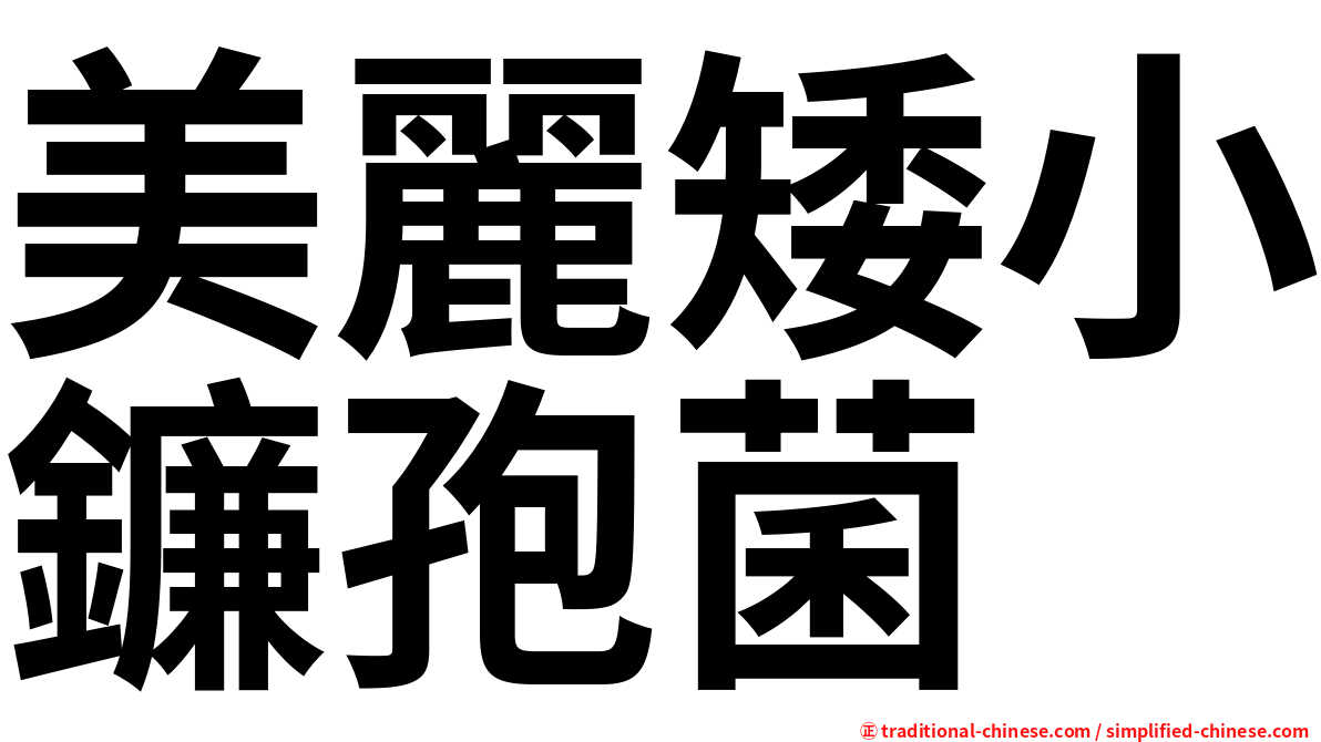 美麗矮小鐮孢菌