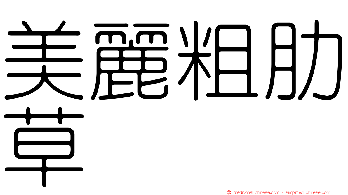 美麗粗肋草