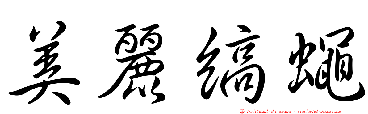 美麗縞蠅