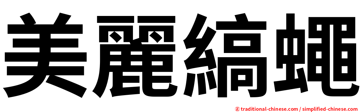 美麗縞蠅