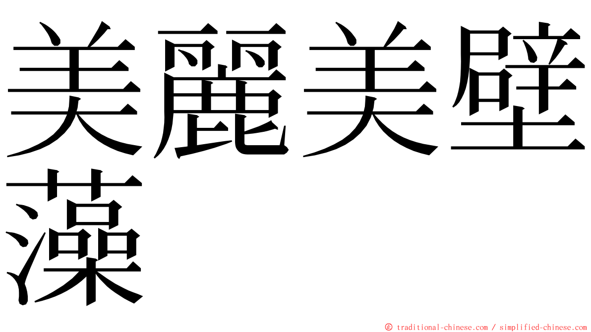 美麗美壁藻 ming font