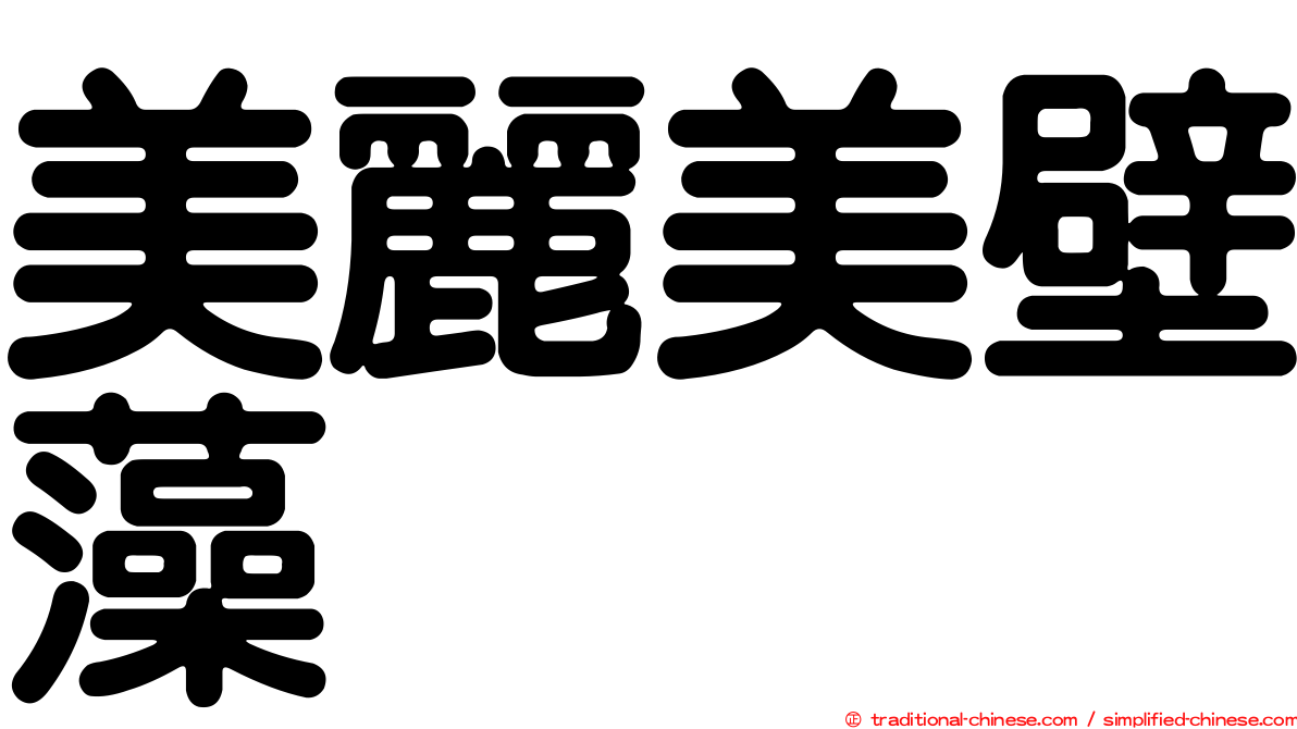 美麗美壁藻
