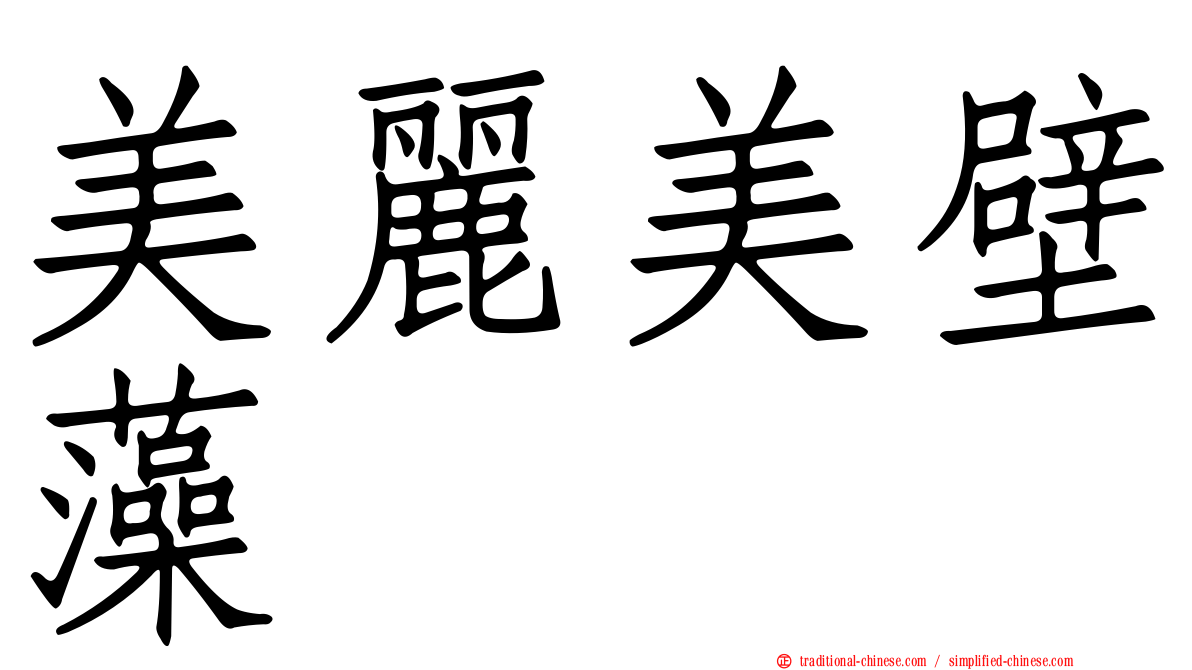 美麗美壁藻